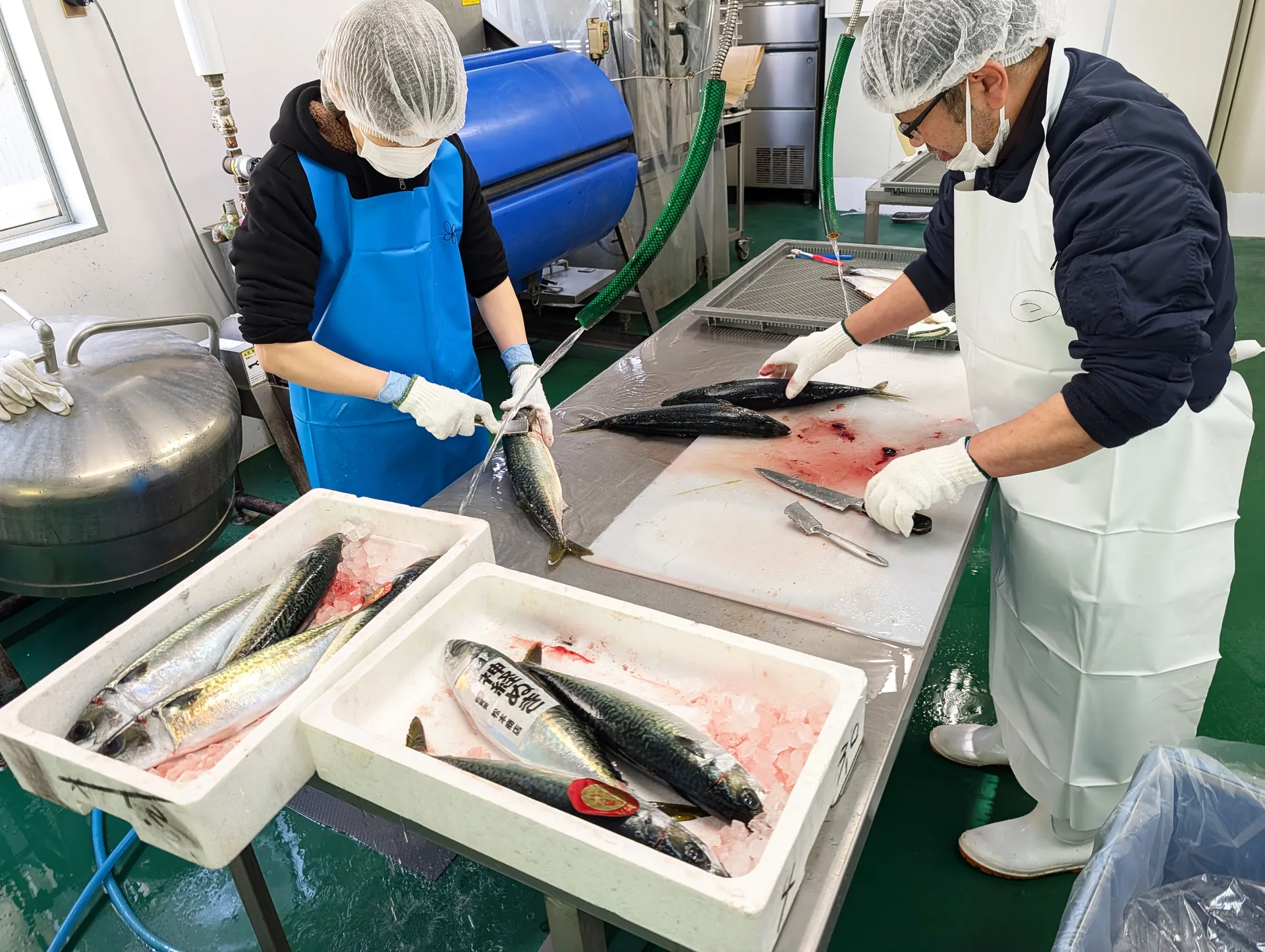 水産加工の様子。熟練のスタッフがスピード感を持って魚を捌き、鮮度を封じ込めるための下処理を行っている現場風景