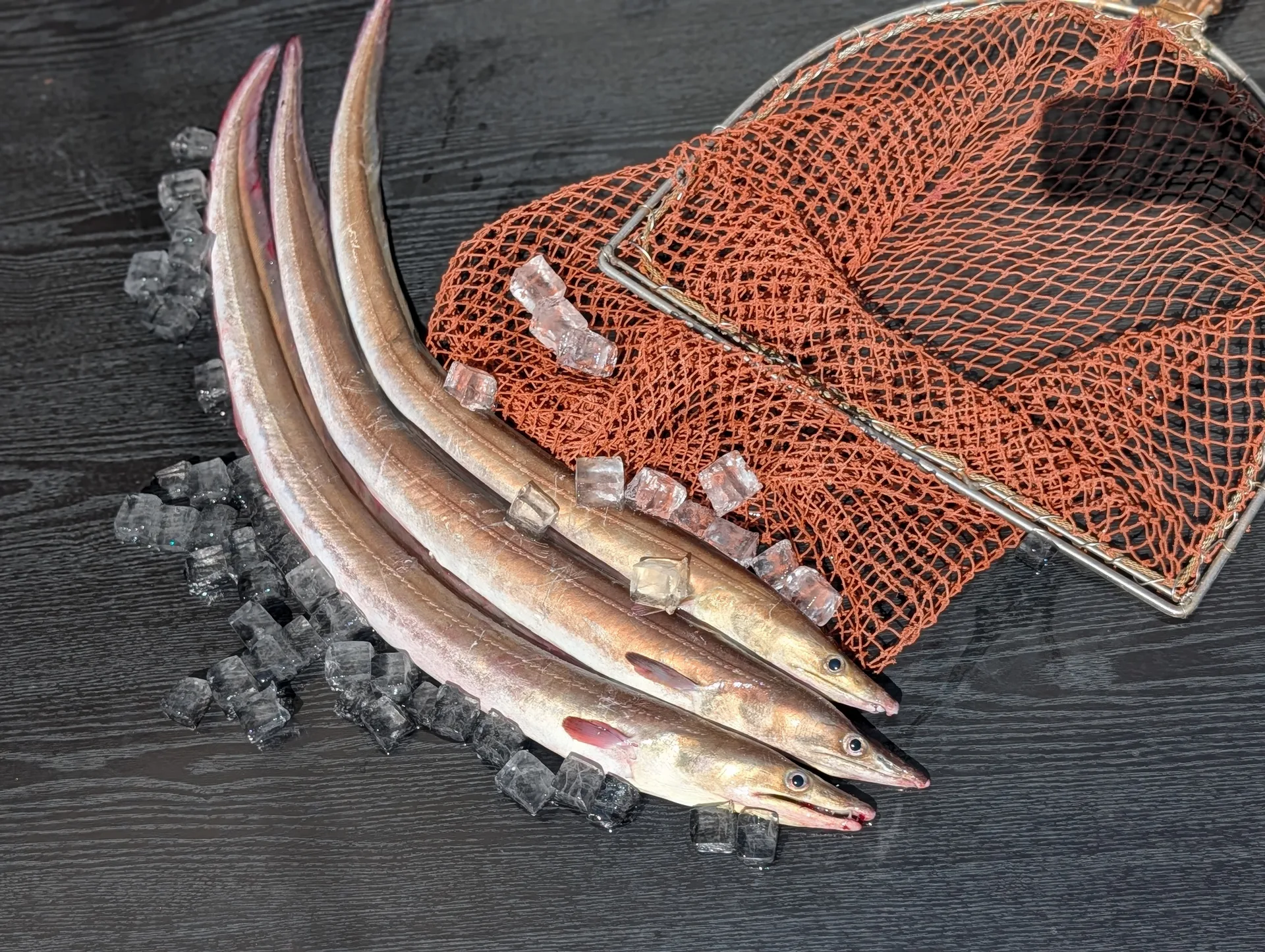 創業当時から国東物産の主要な取扱魚種である、大分県近海で水揚げされた新鮮な鱧（はも）