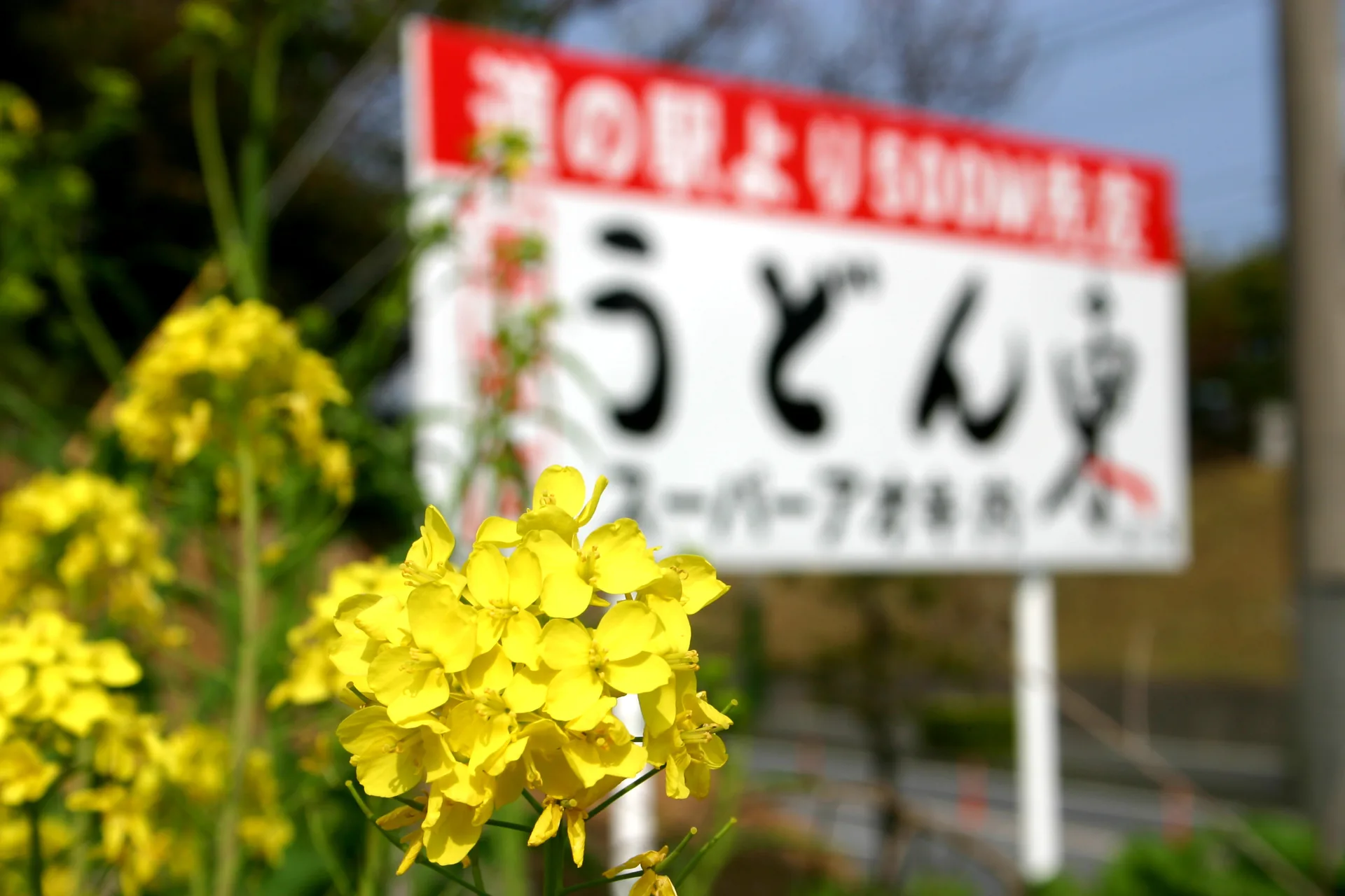 2003年から2020年まで地域に親しまれた、国東物産運営の本格手打ちうどん店「うどん 東（さき）」のロードサイド看板